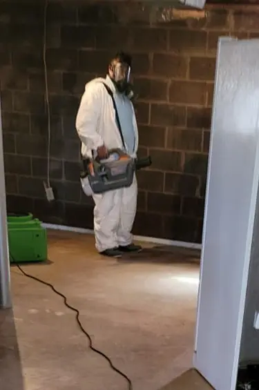 Mold Xperts - mold remediation